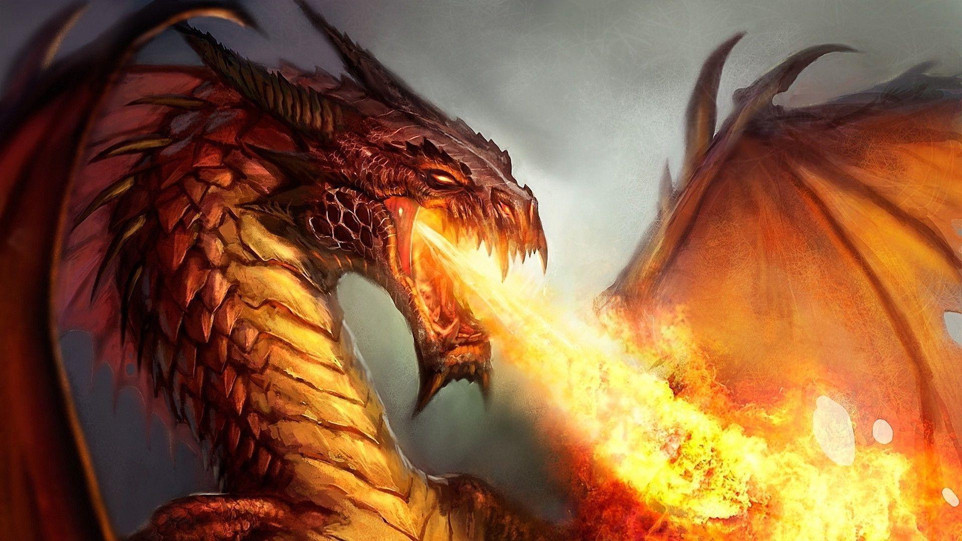 Fire spitting dragon Wallpaper
