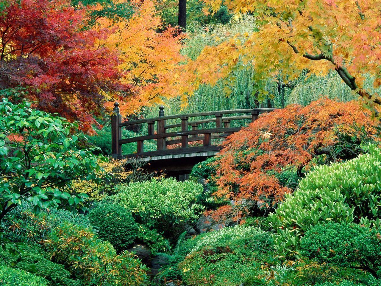 autumn landscape wallpaper
