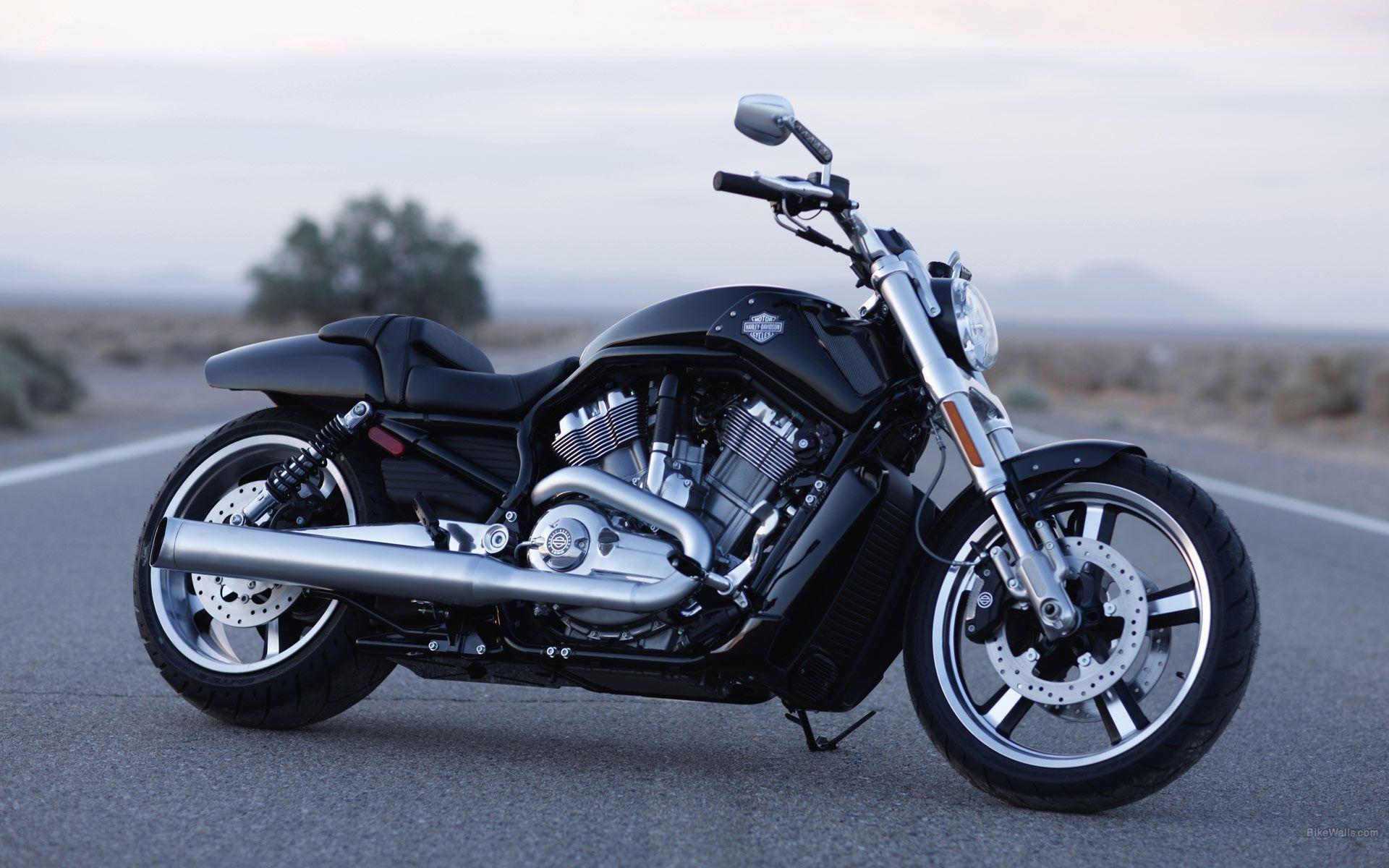Harley Davidson VRSCF V Rod Muscle, Desktop Wallpaper #