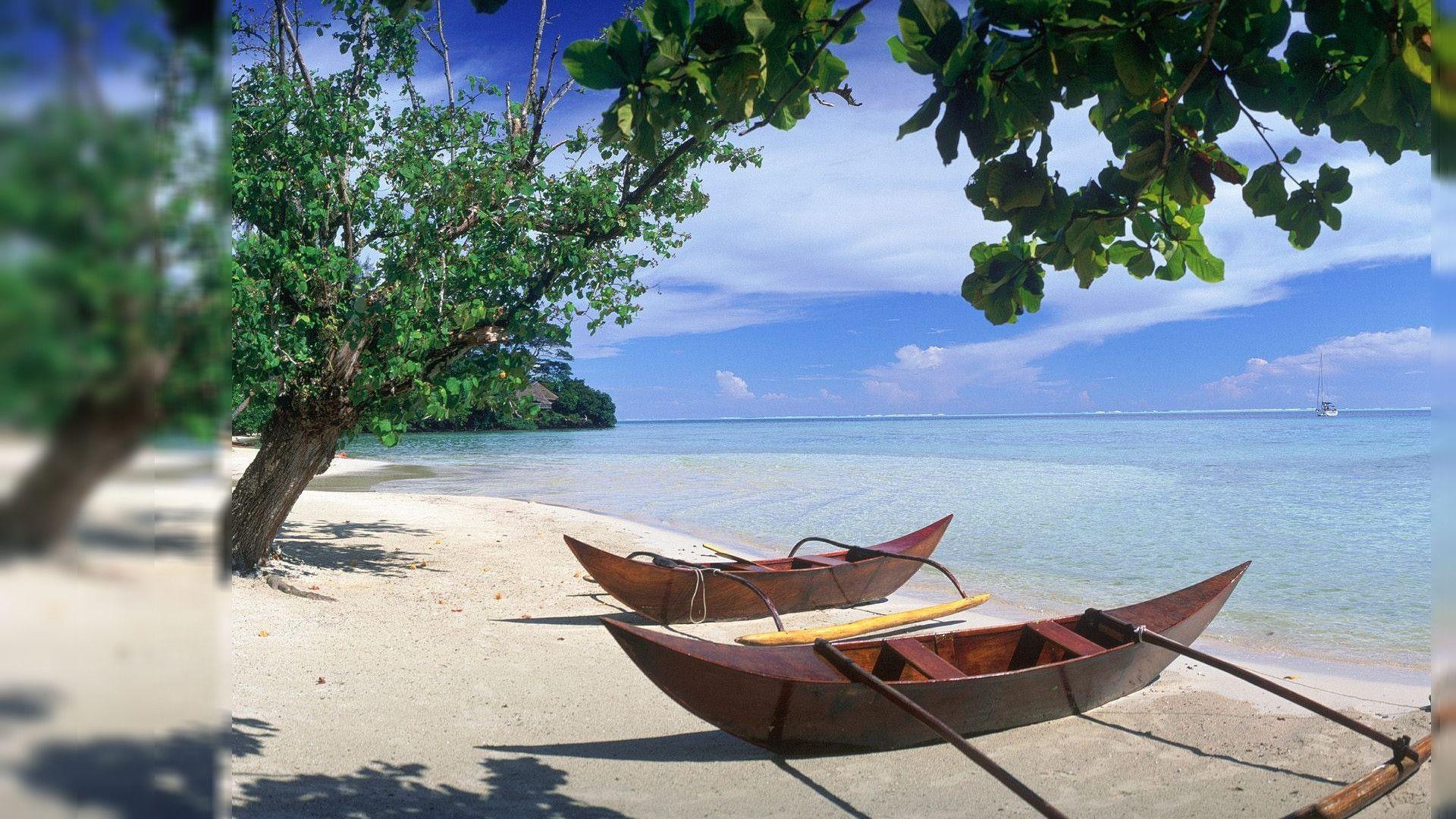 Top Wallpapers Wallpaper Cave