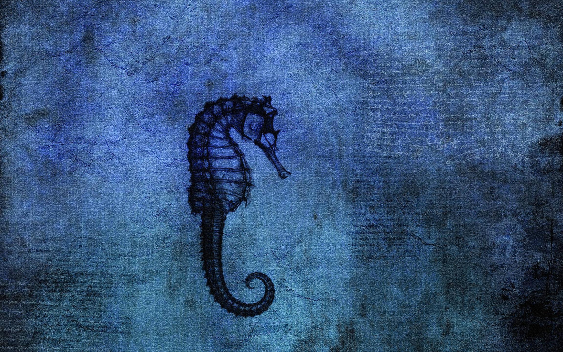 Seahorse Wallpaper