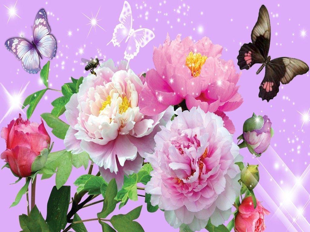 Flowers For > Rose And Butterfly Wallpaper