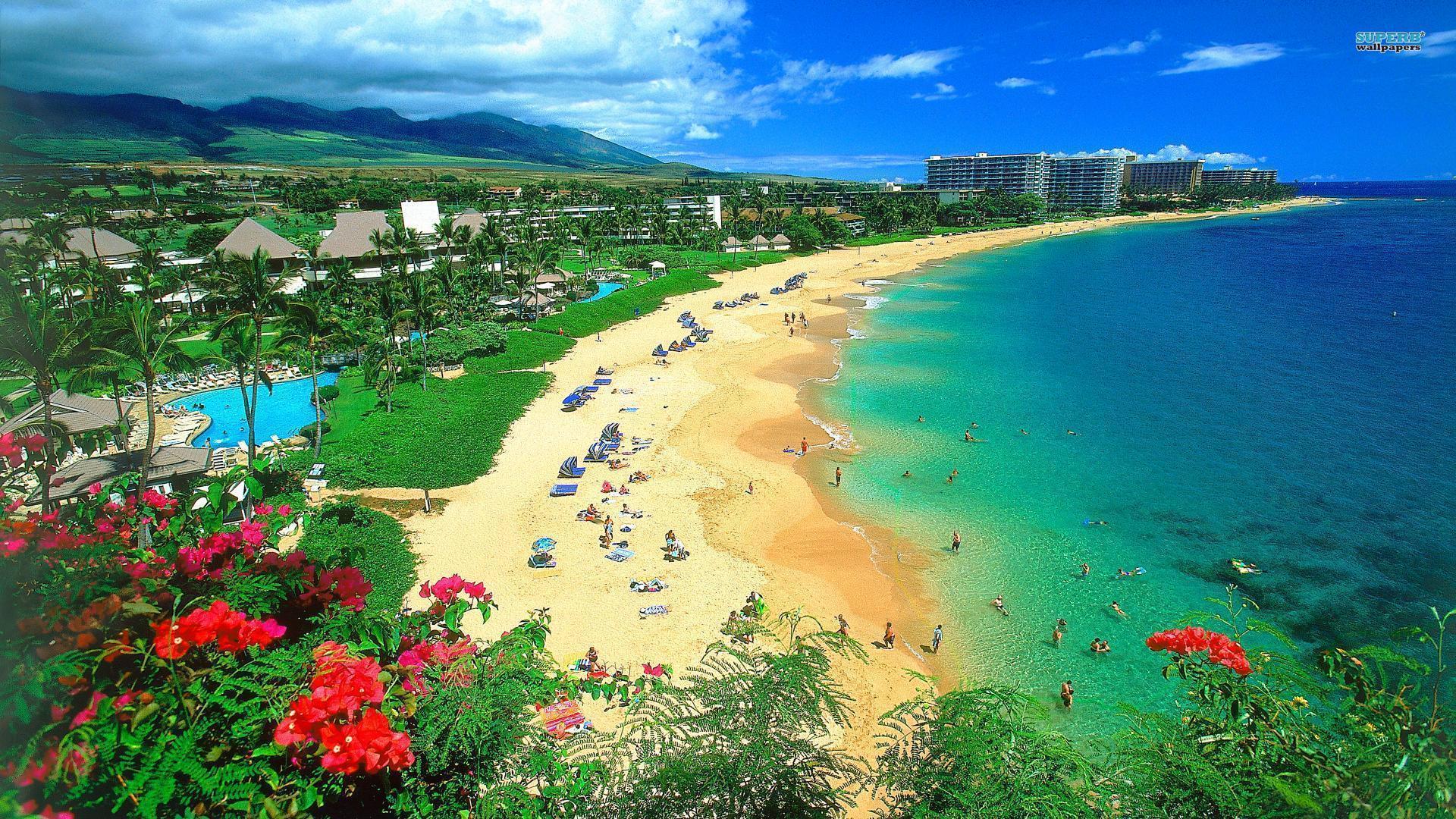 Pix For > Hawaiian Beach Wallpaper