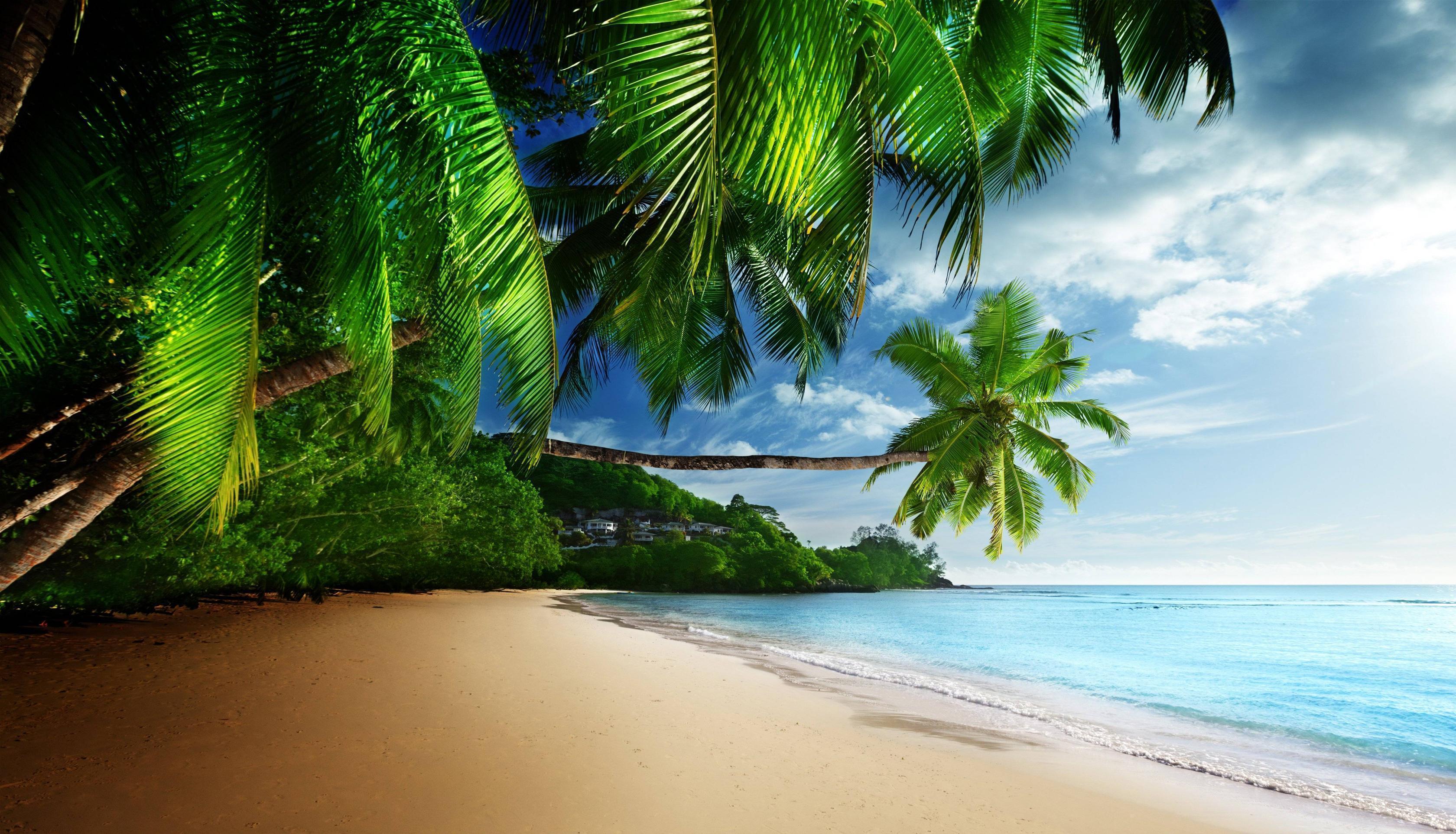 Coast paradise tropical sea sky sunshine emerald blue beach