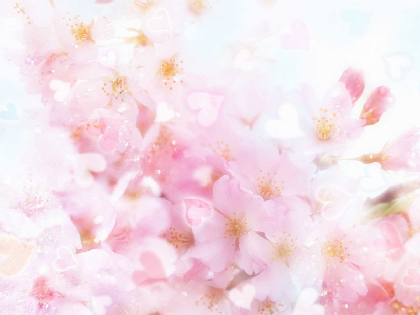 Flowers Background. HD Background Point