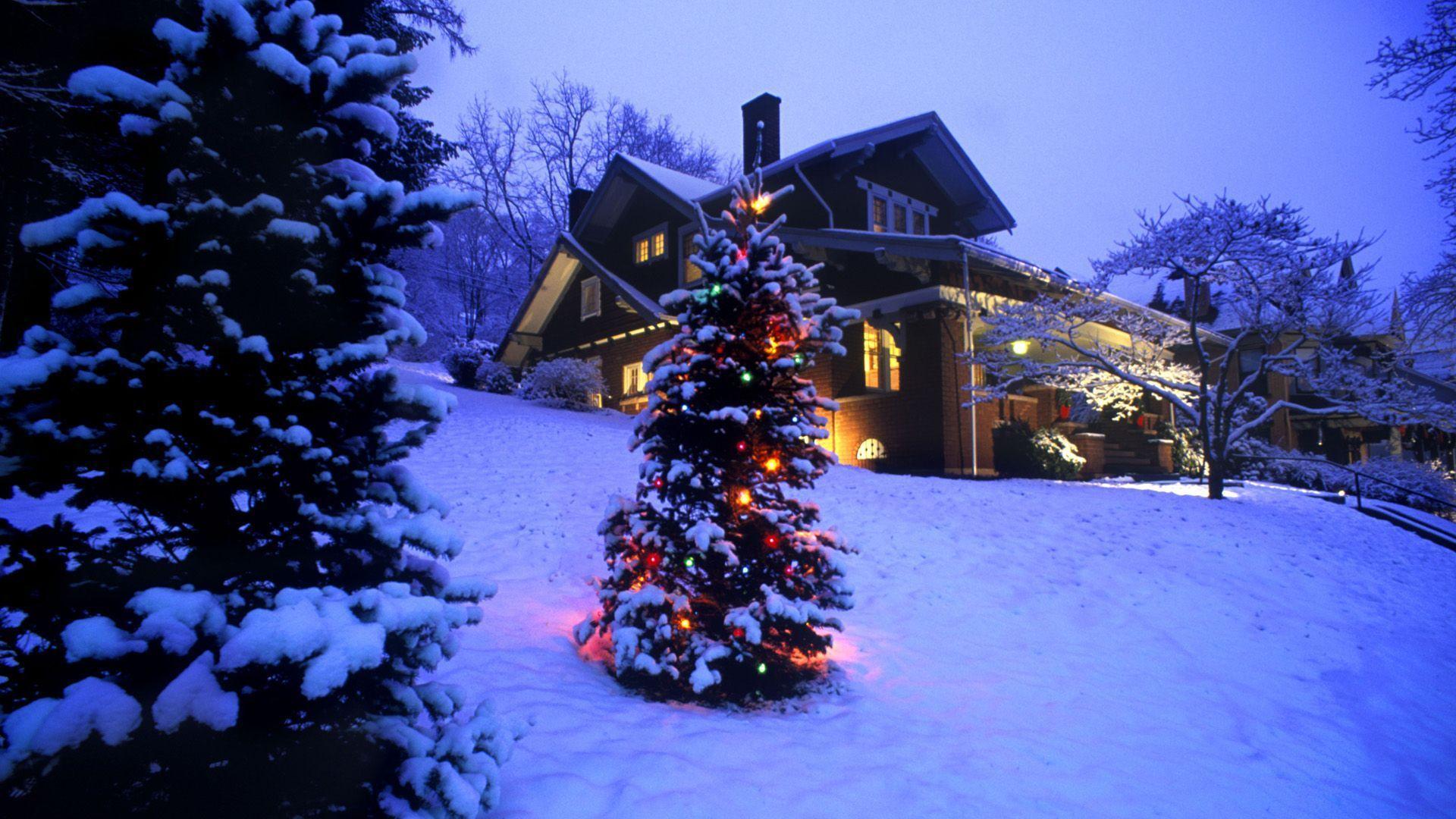 Xmas Stuff For > Christmas Tree Snow Scene