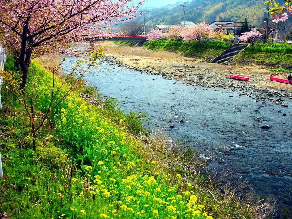 Japan nature Wallpaper for Desktop Wallpaper. Free Download