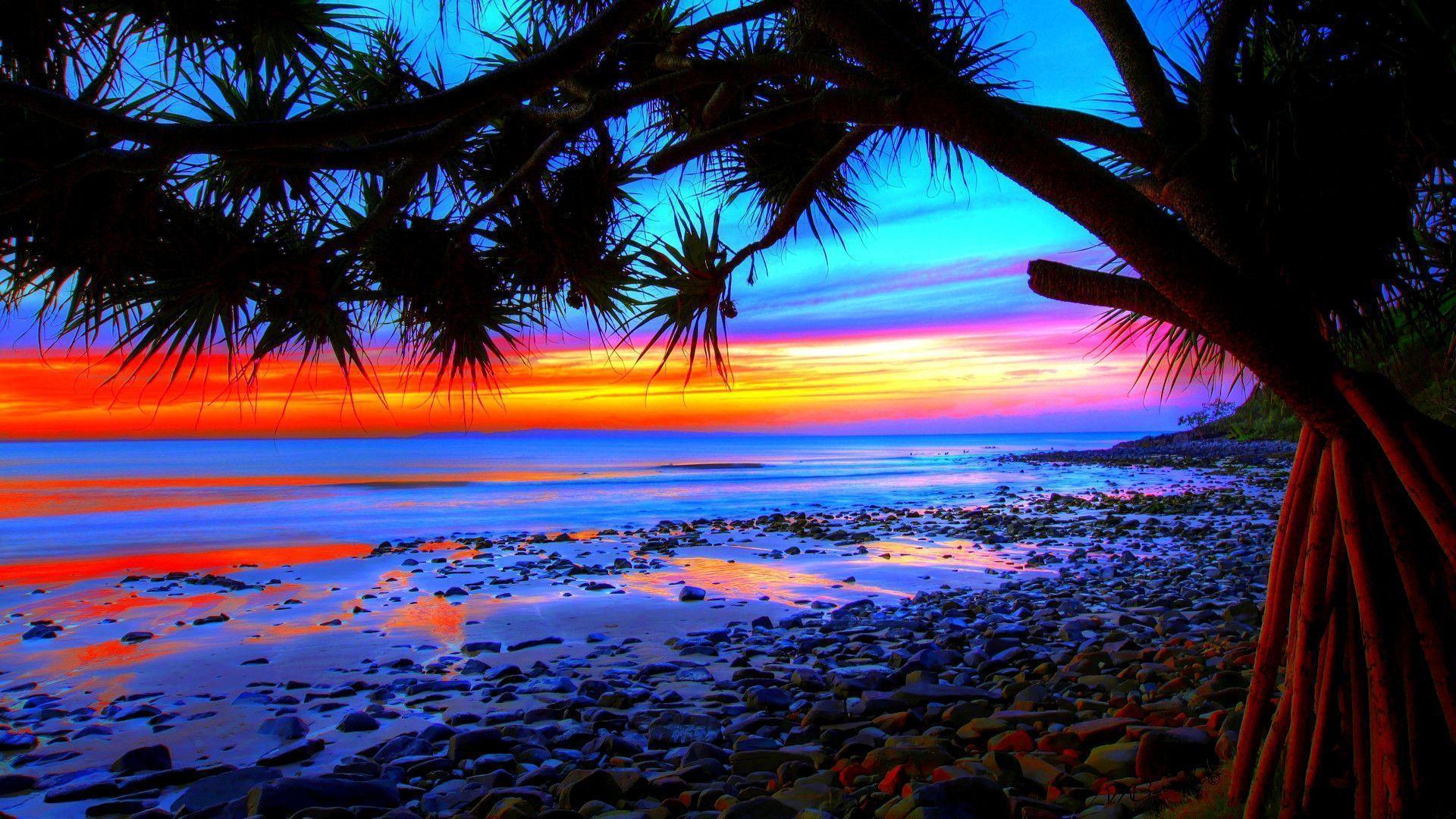 Sunset Beach Palm Tress HD Wallpaper For Desktop Background