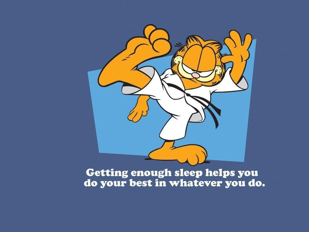 image For > Funny Garfield Picture