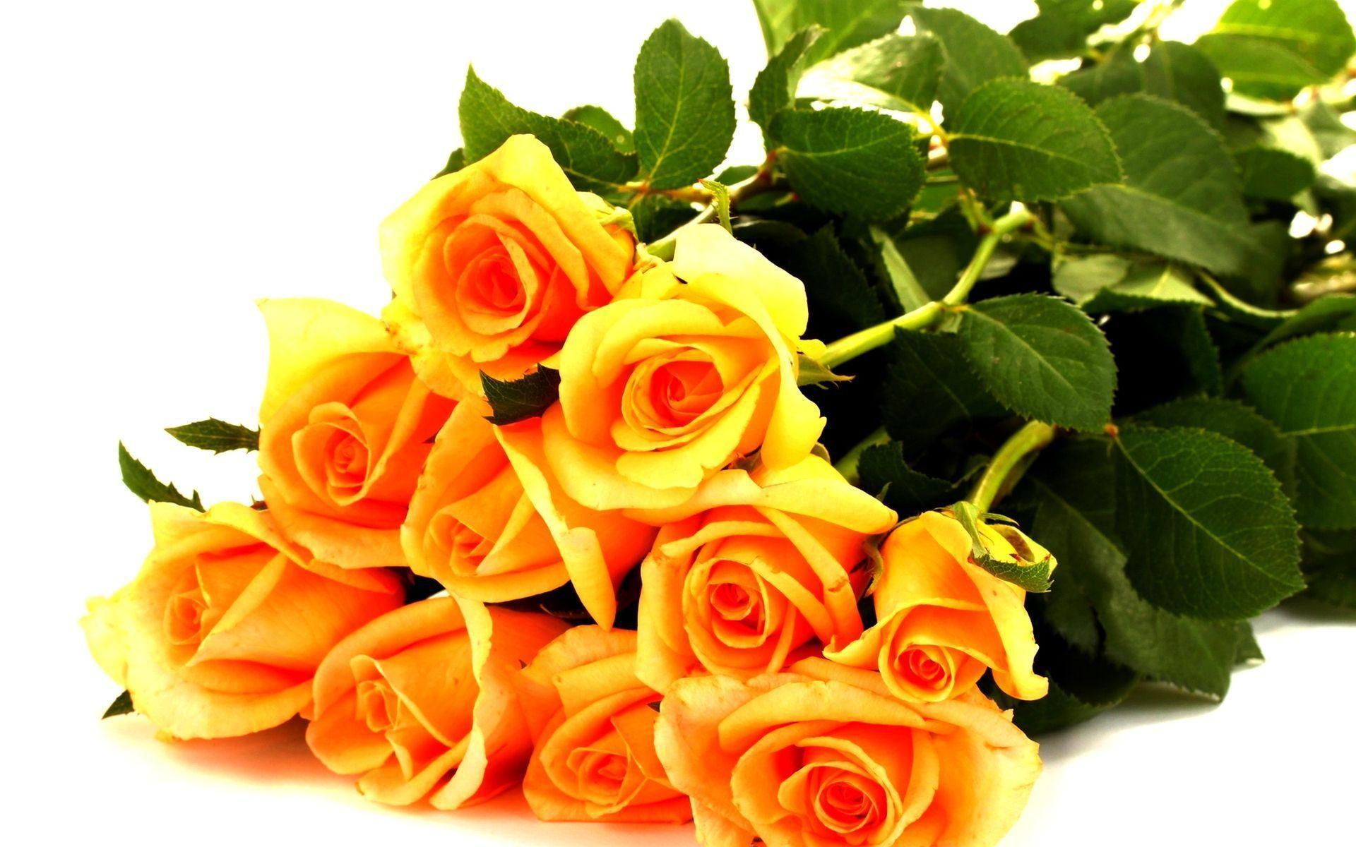 Valentines For > Bunch Of Yellow Roses Wallpaper