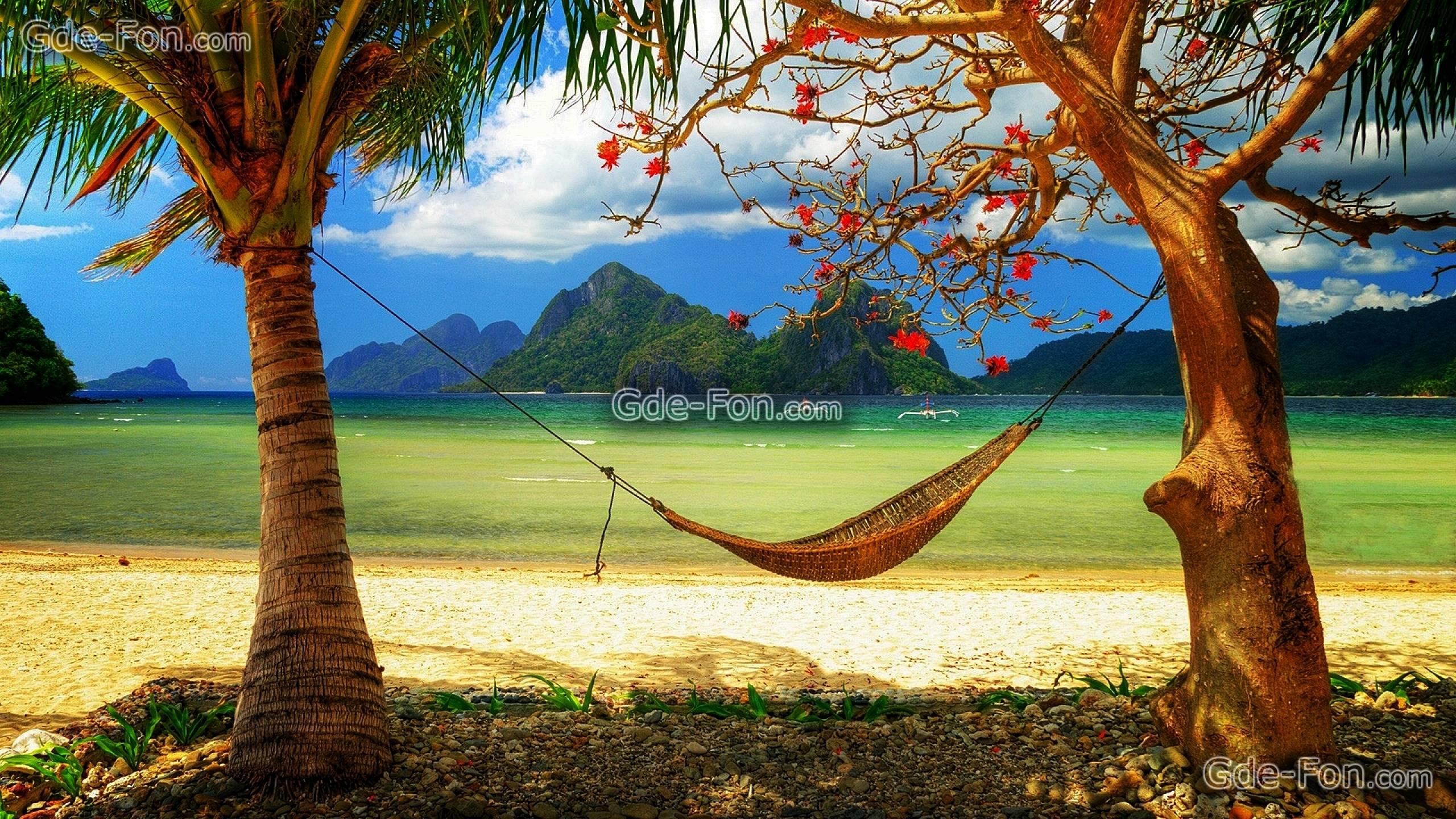 Download wallpaper caribbean, paradise, sunshine, sea free desktop
