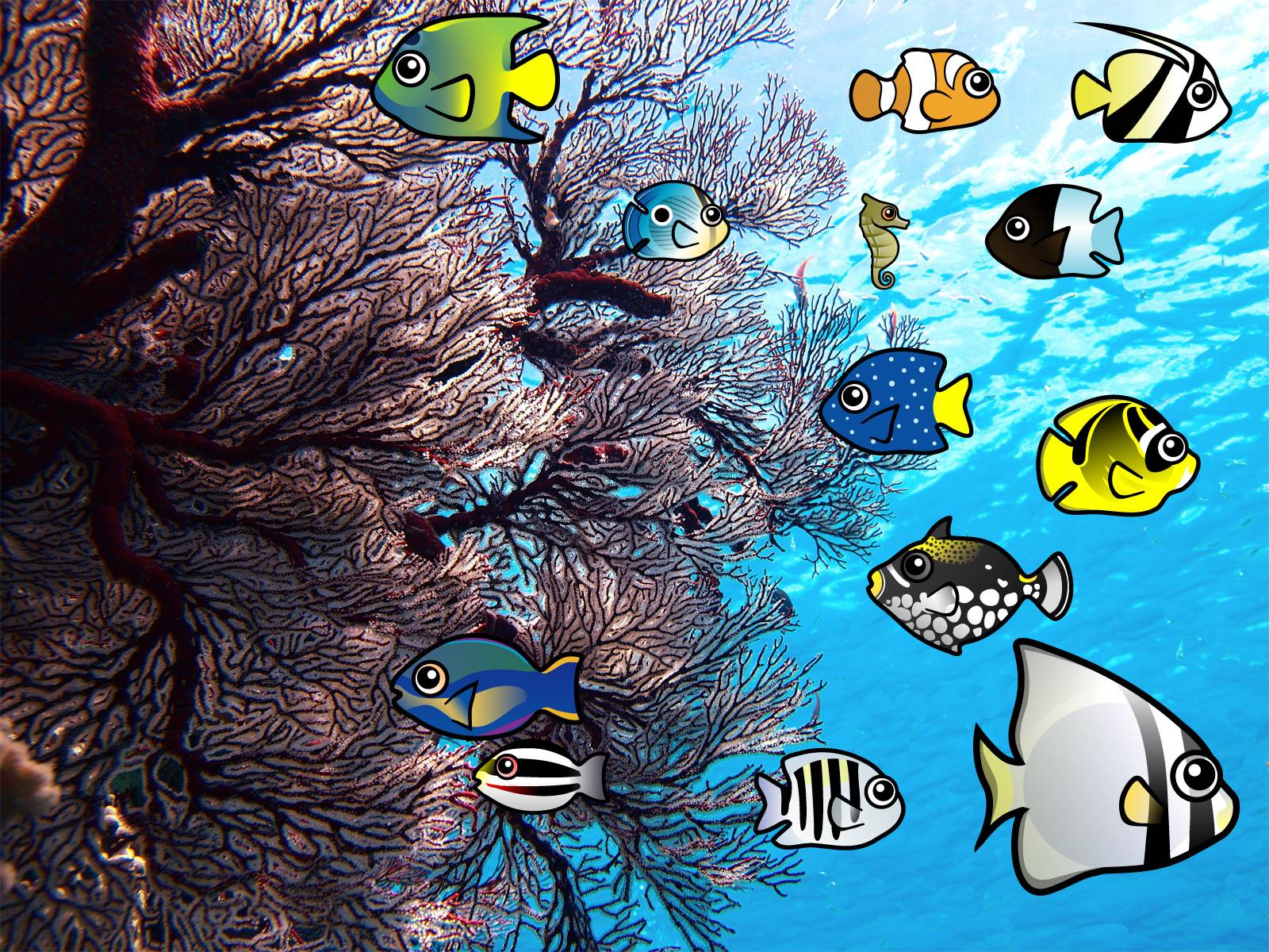 Coral Reef Desktop Wallpaper