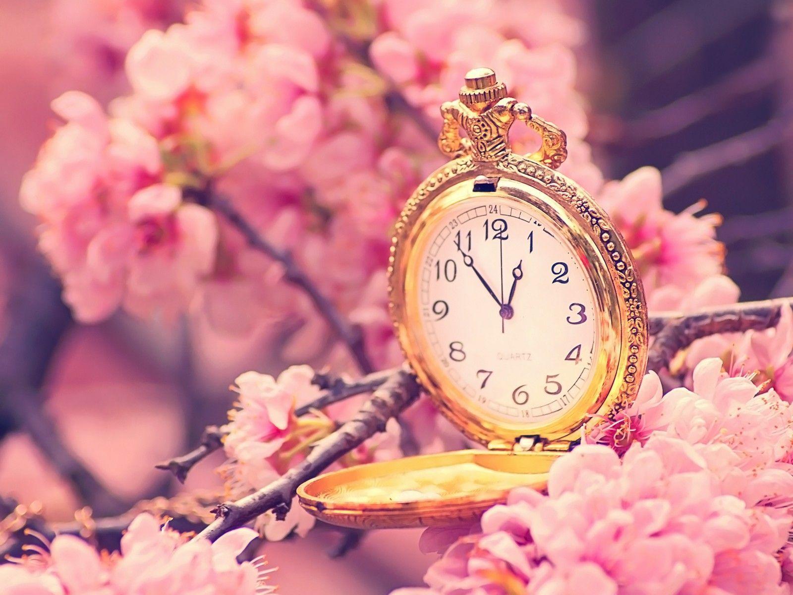 tumblr static cherry blossoms clockshd wallpaper blossom HD