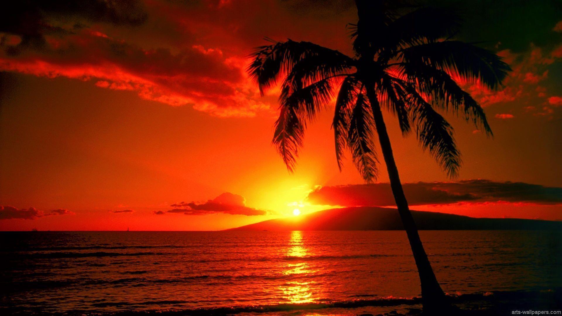 Tropical island Sunset Wallpaper