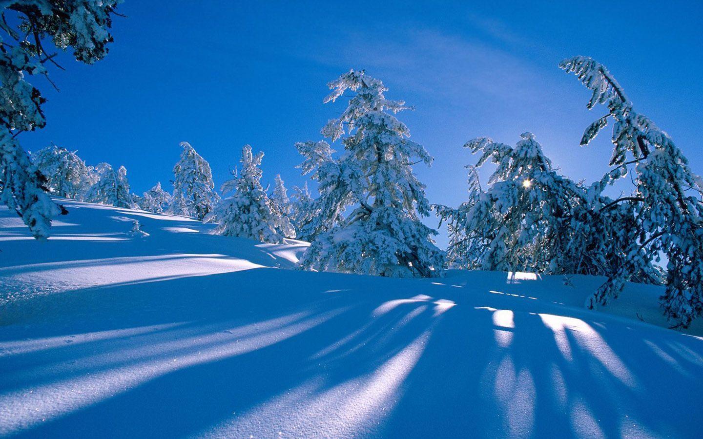 Winter wonderland, Dreamy Snow Scene wallpaper 1440x900 NO.26