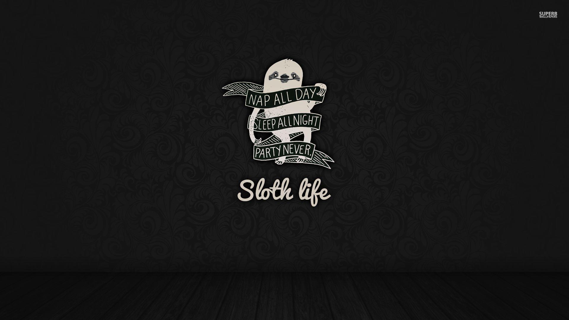 Sloth life wallpaper wallpaper - #