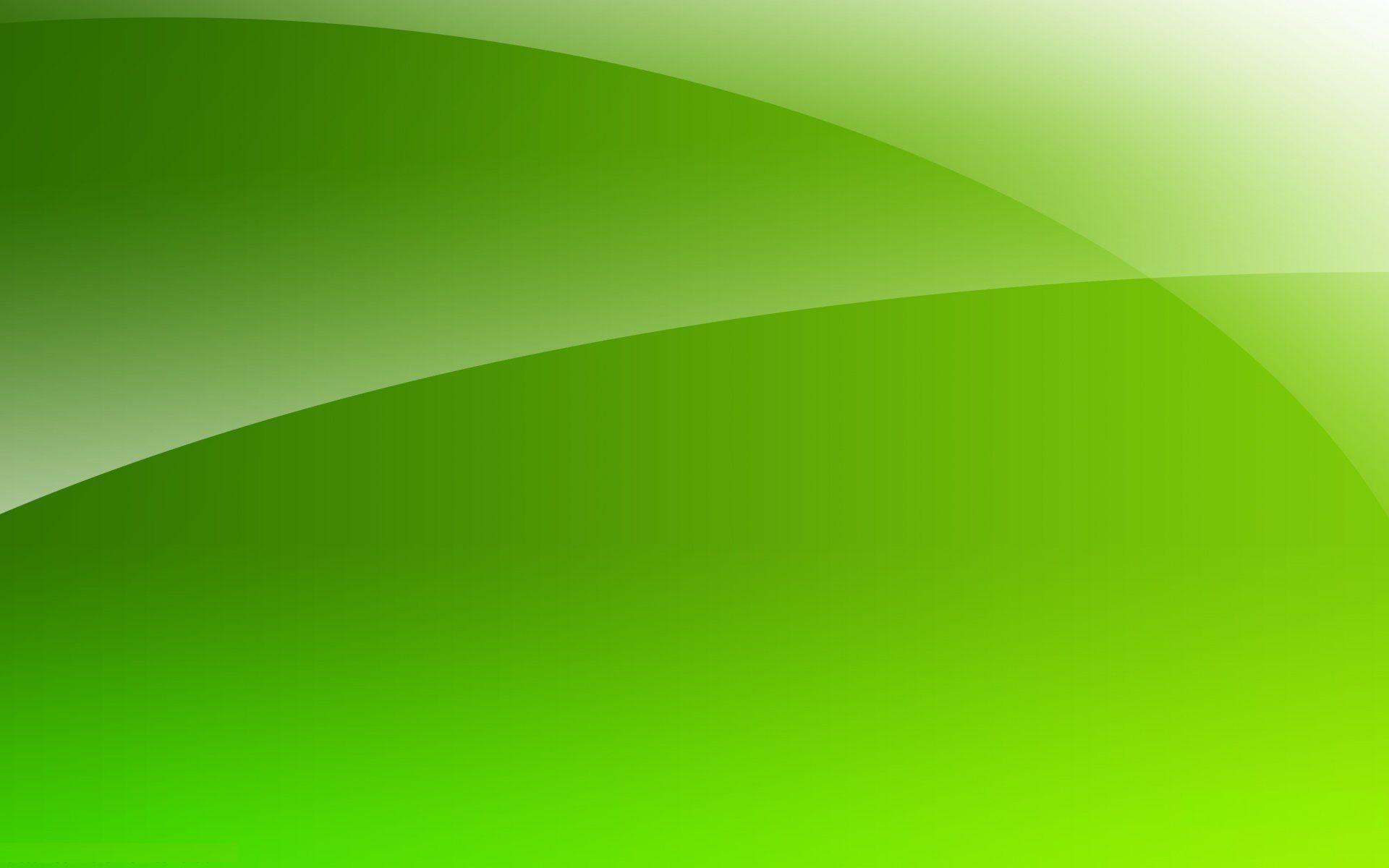 Calm Green Background Wallpaper