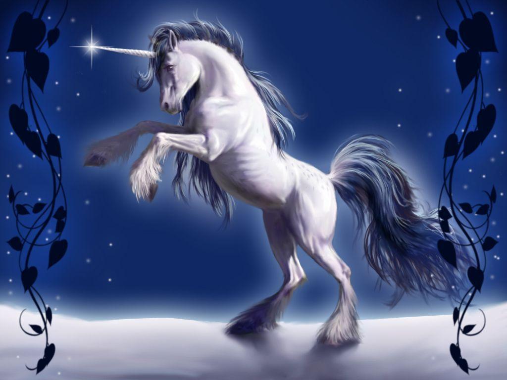 Wallpaper of unicorn Stock Free Image