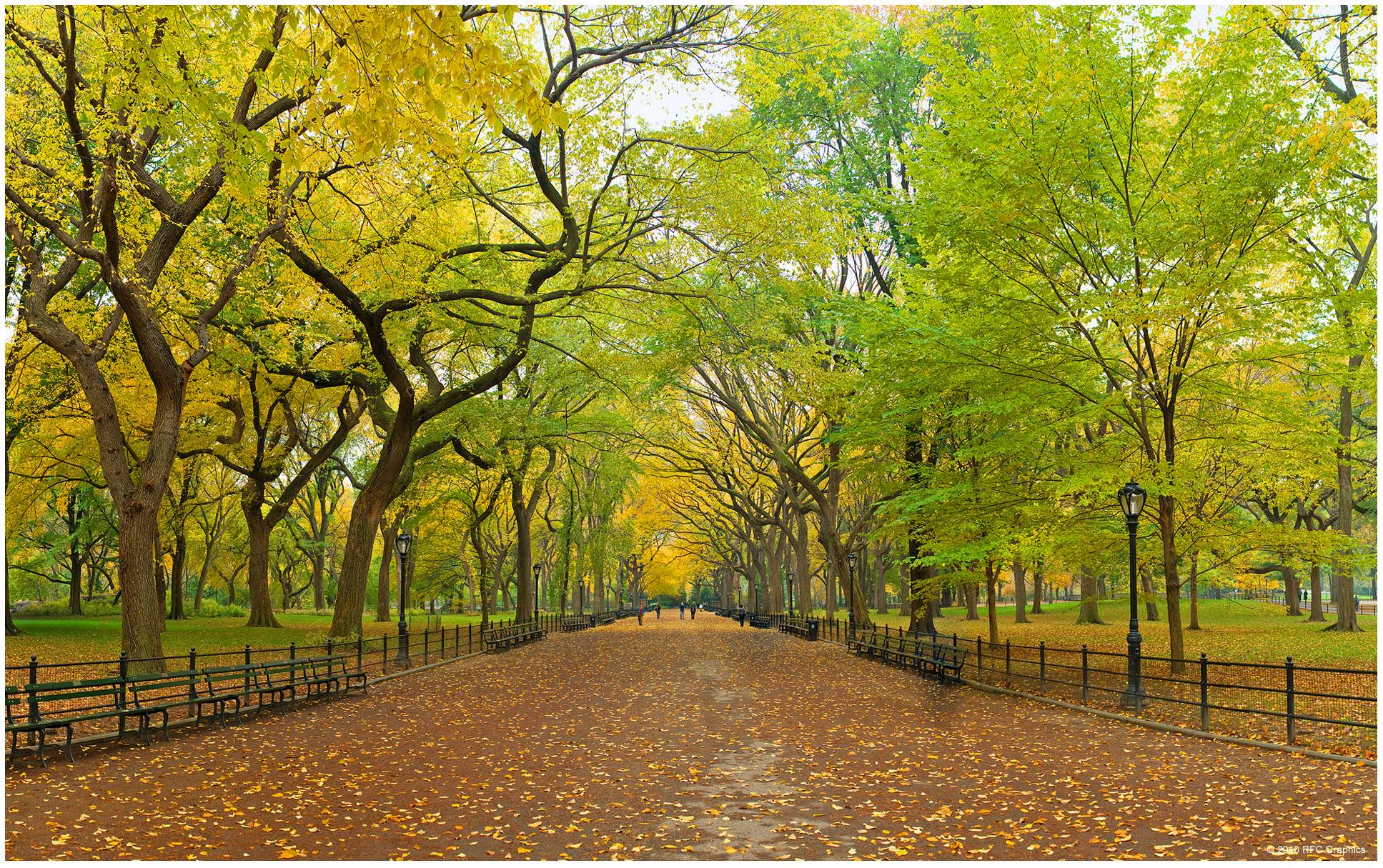 image For > Central Park Wallpaper