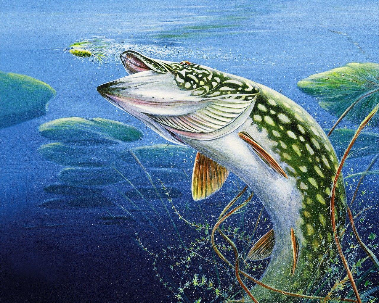 Download Fishing Wallpaper 1280x1024