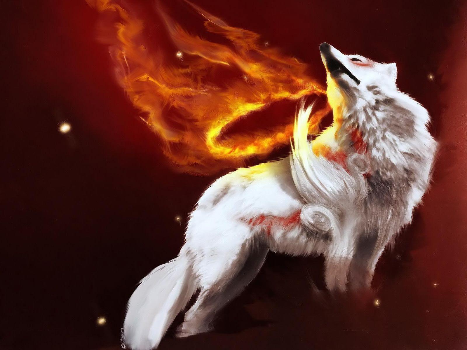 Cool White Wolf Wallpaper. coolstyle wallpaper