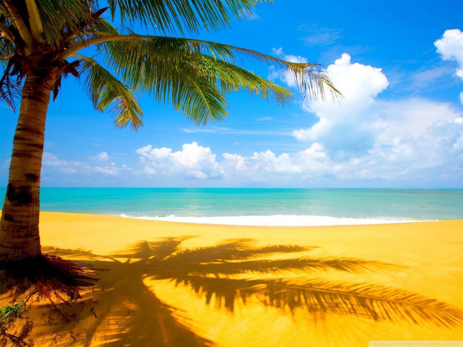 Gorgeous Beach In Summertime HD Desktop Wallpaper, Widescreen