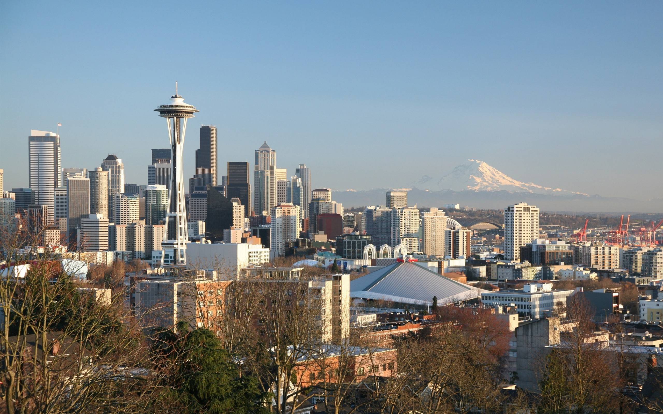 Download Cityscapes Seattle Wallpaper 2560x1600