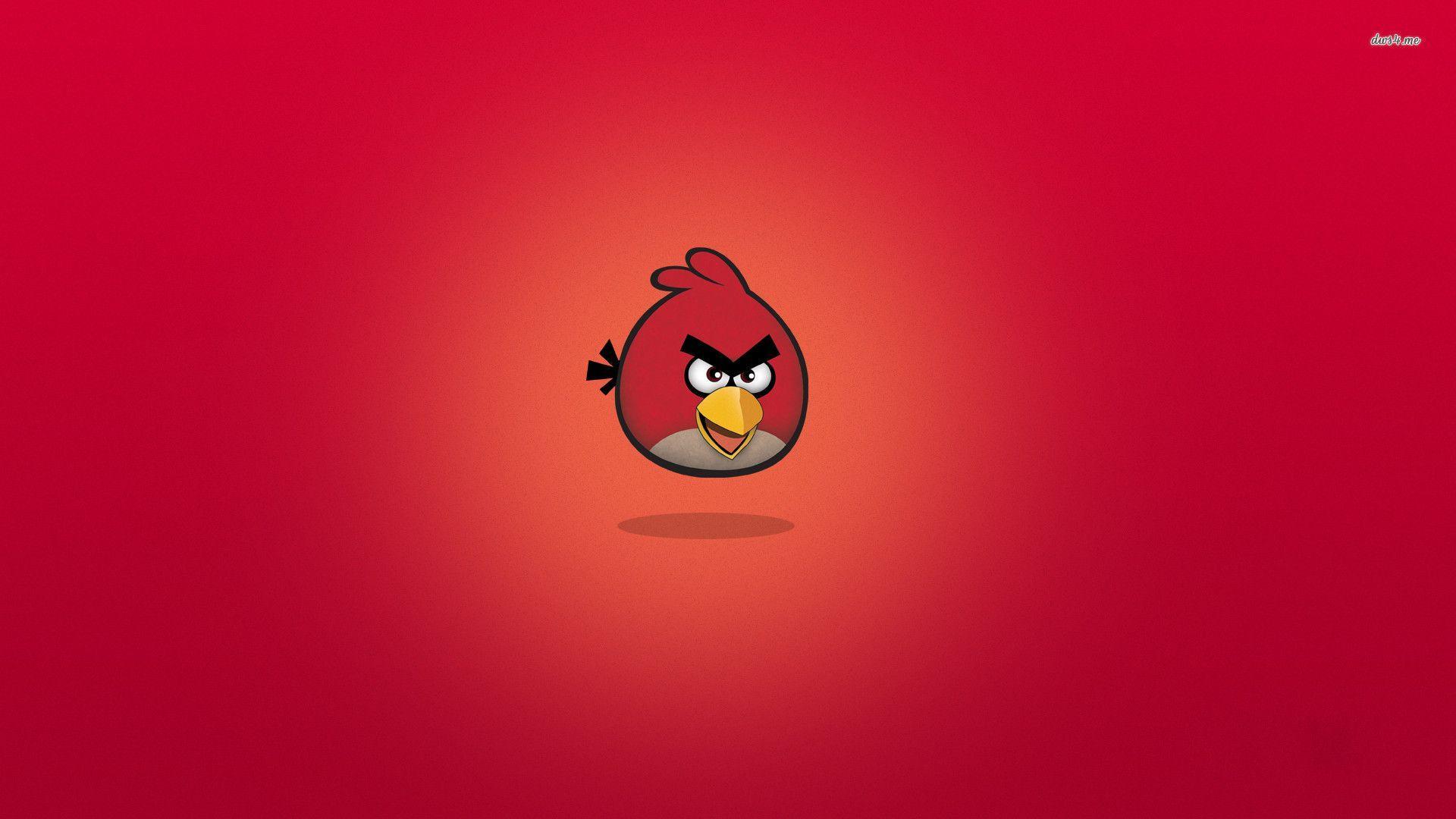 Wallpapertags Bird Angry Birds HD Tablet Smartphone Wallpaper #