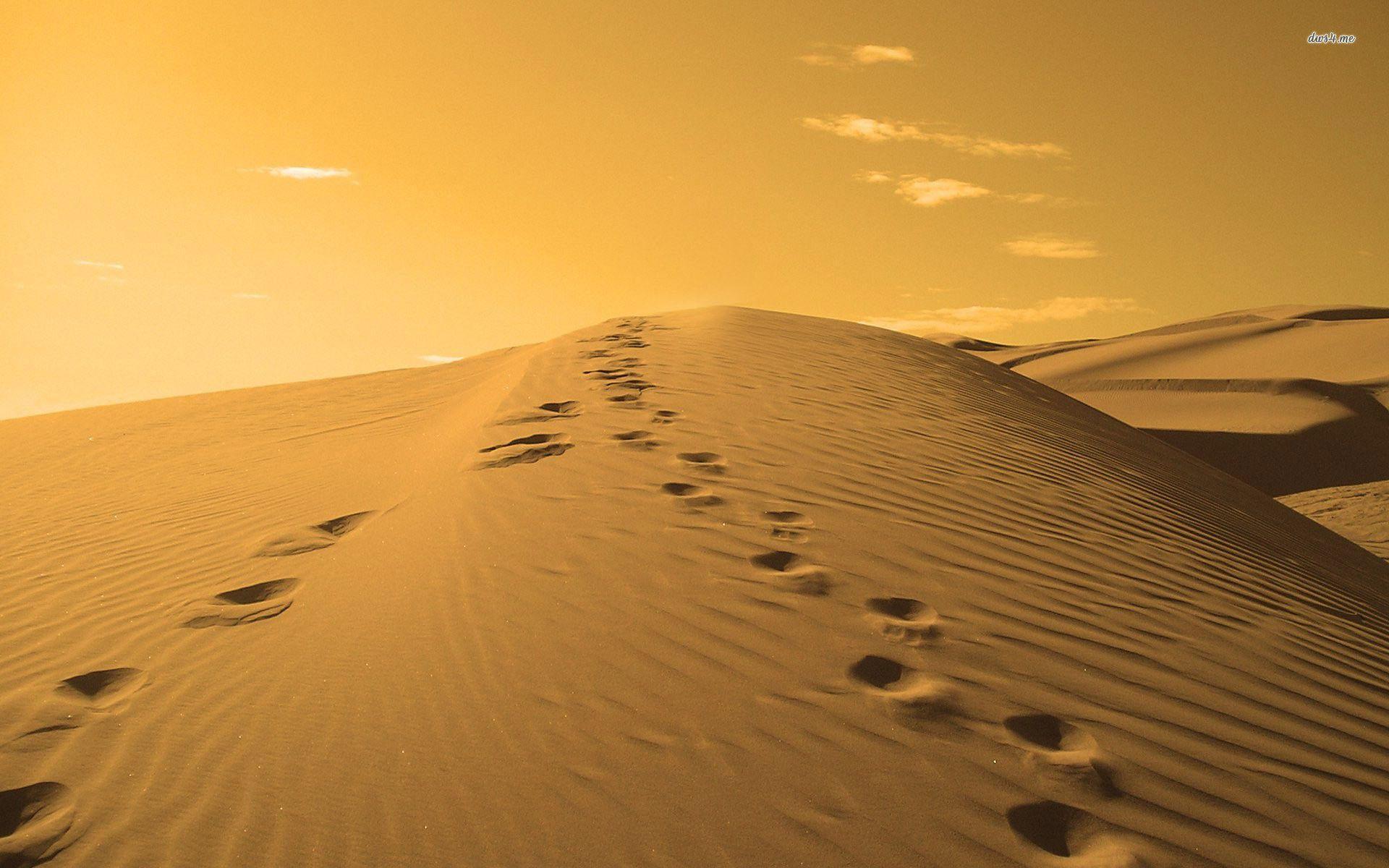 Footprints on a sand dune wallpaper wallpaper - #
