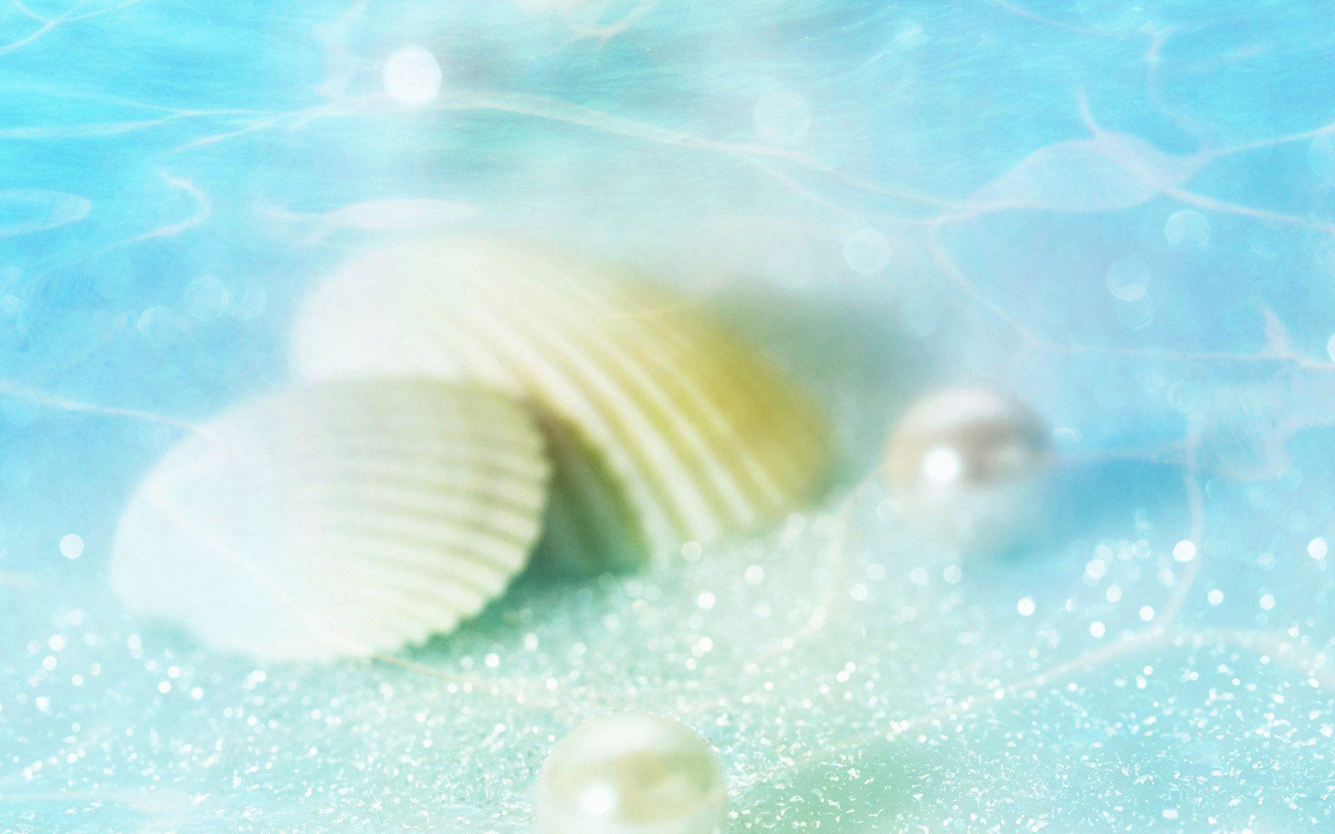 White Seashell In Water Wallpaper