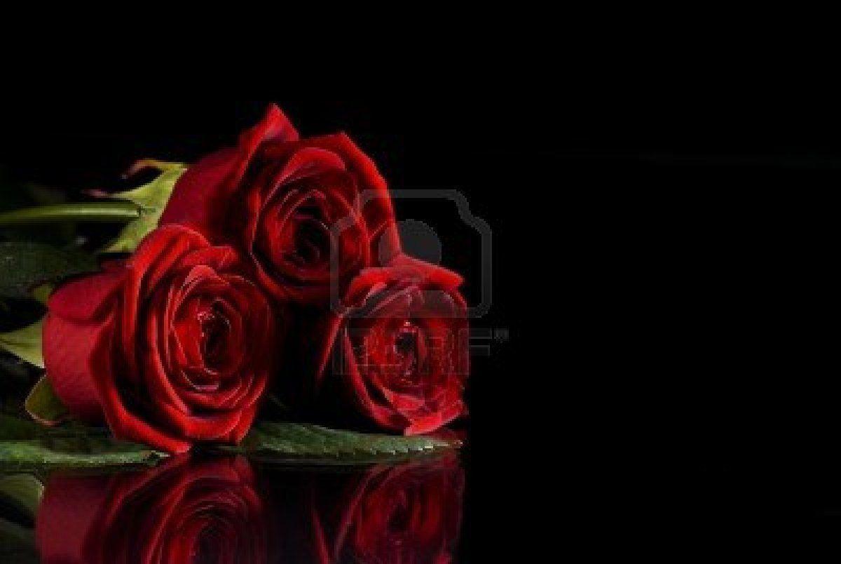 beautiful red roses on black background with reflection - Image