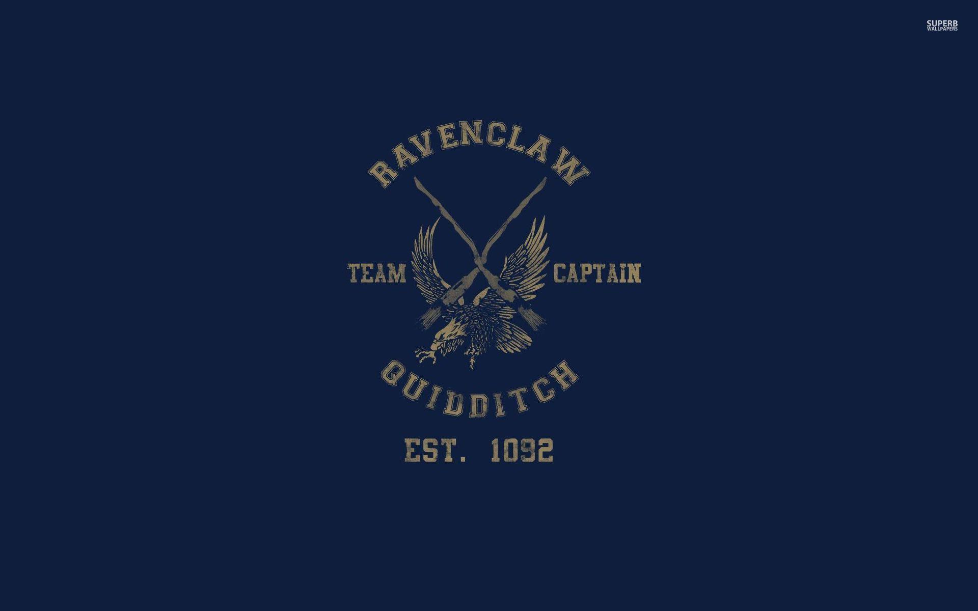 Ravenclaw Quidditch team Potter wallpaper
