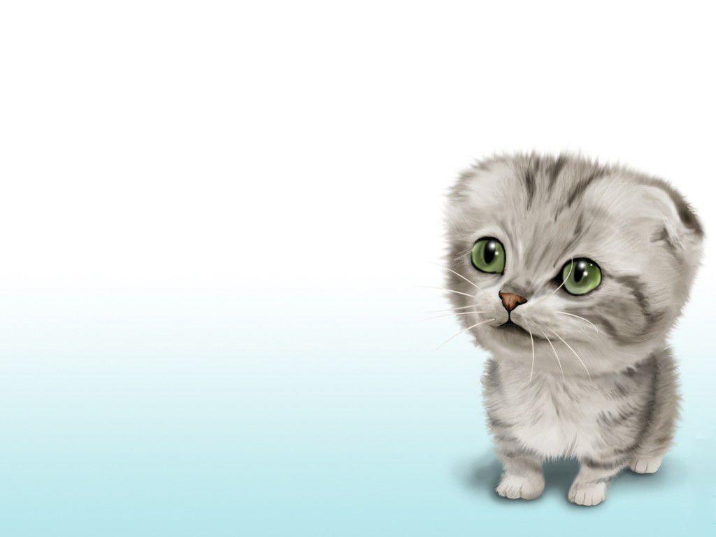 Cute Little Kitten. Photo and Desktop Wallpaper