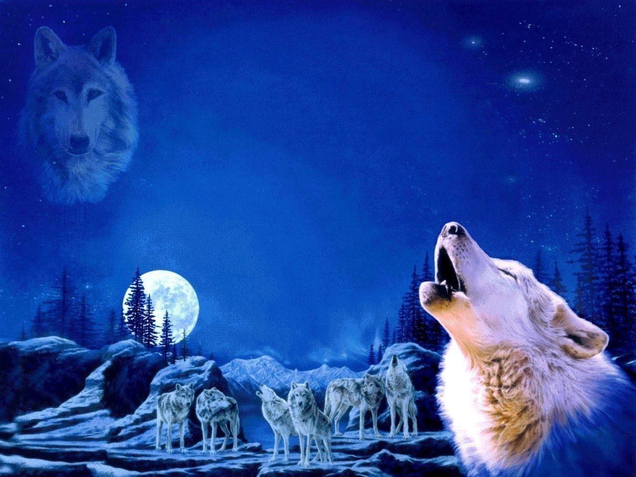 Wallpaper For > Howling Wolf Wallpaper