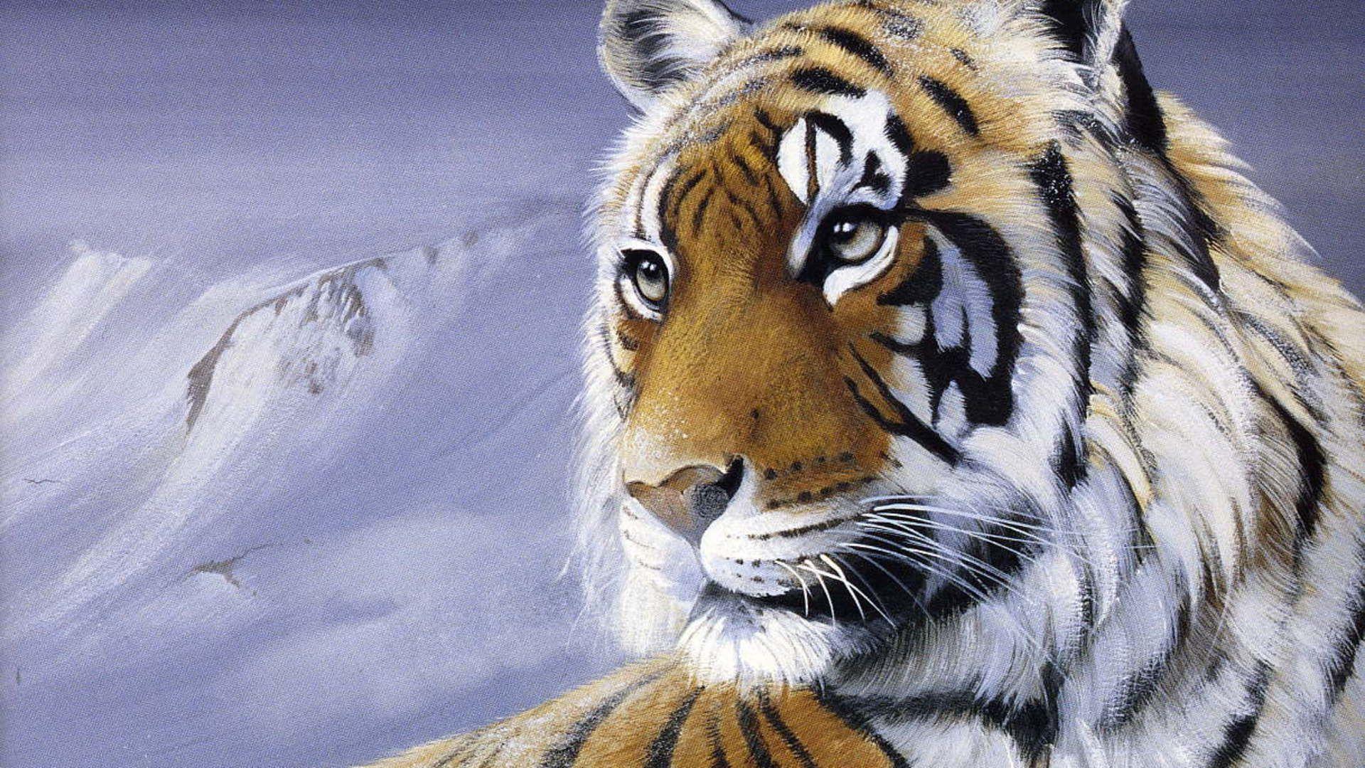 Wallpaper For > Bengal Tiger Face Wallpaper