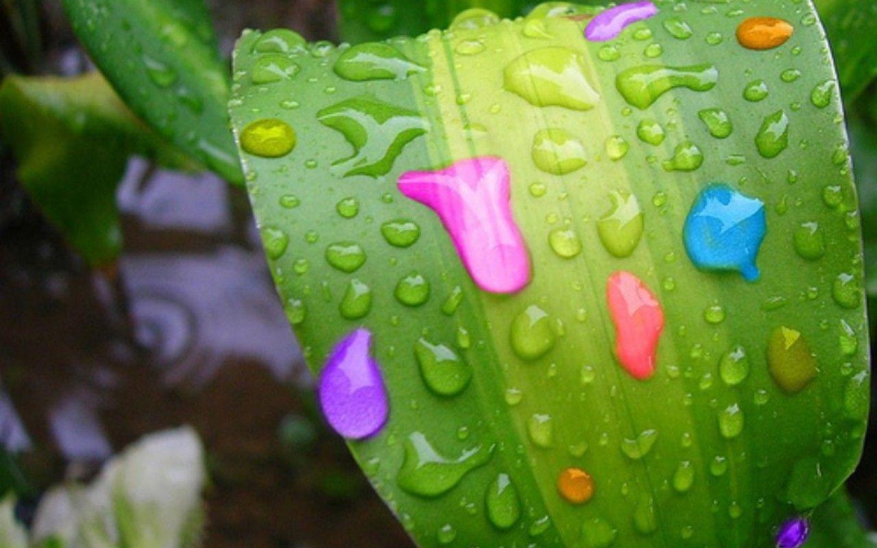 RainDrops Colors Wallpaper