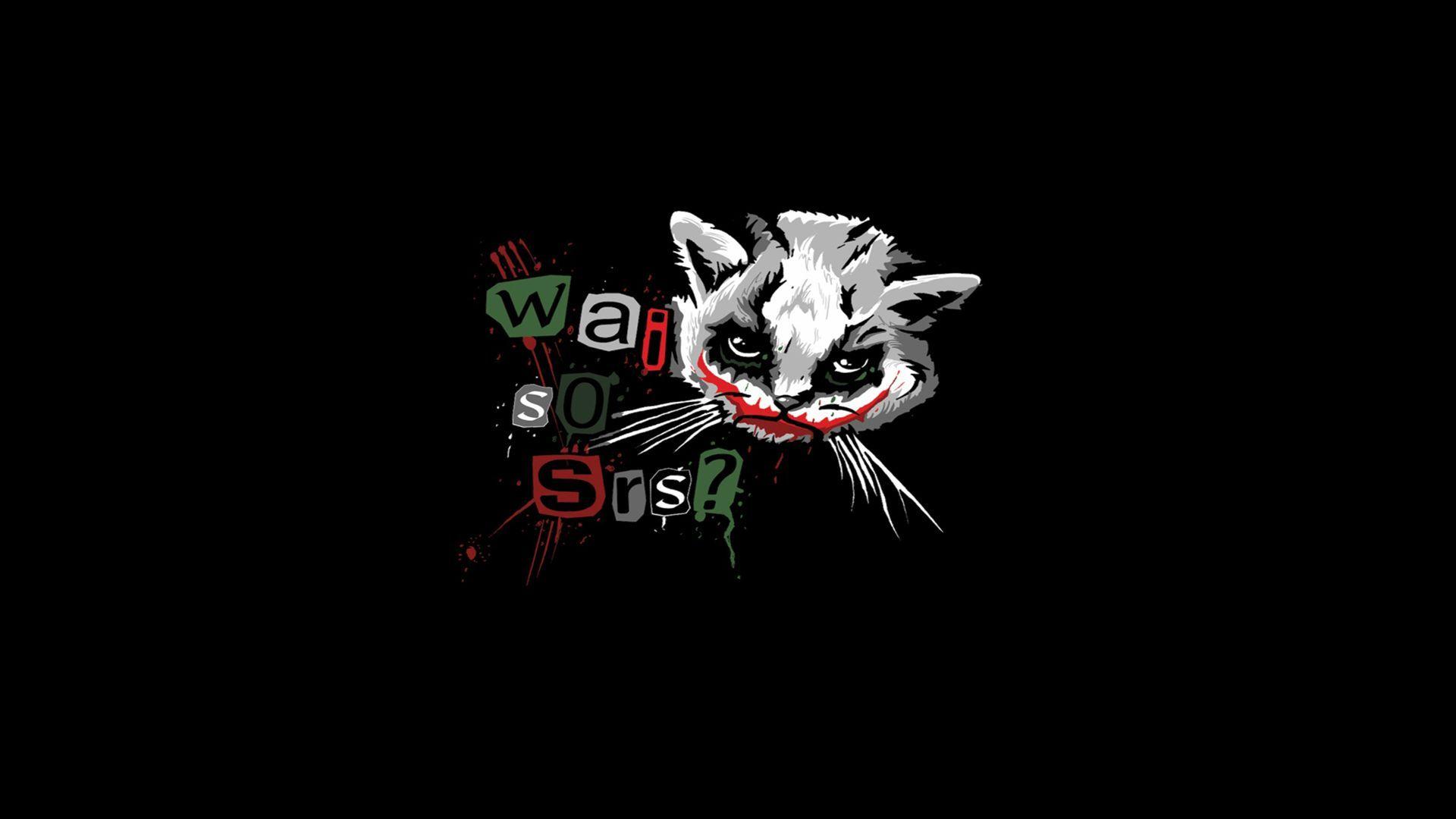 The Joker Kittens Why So Serious HD Wallpaper