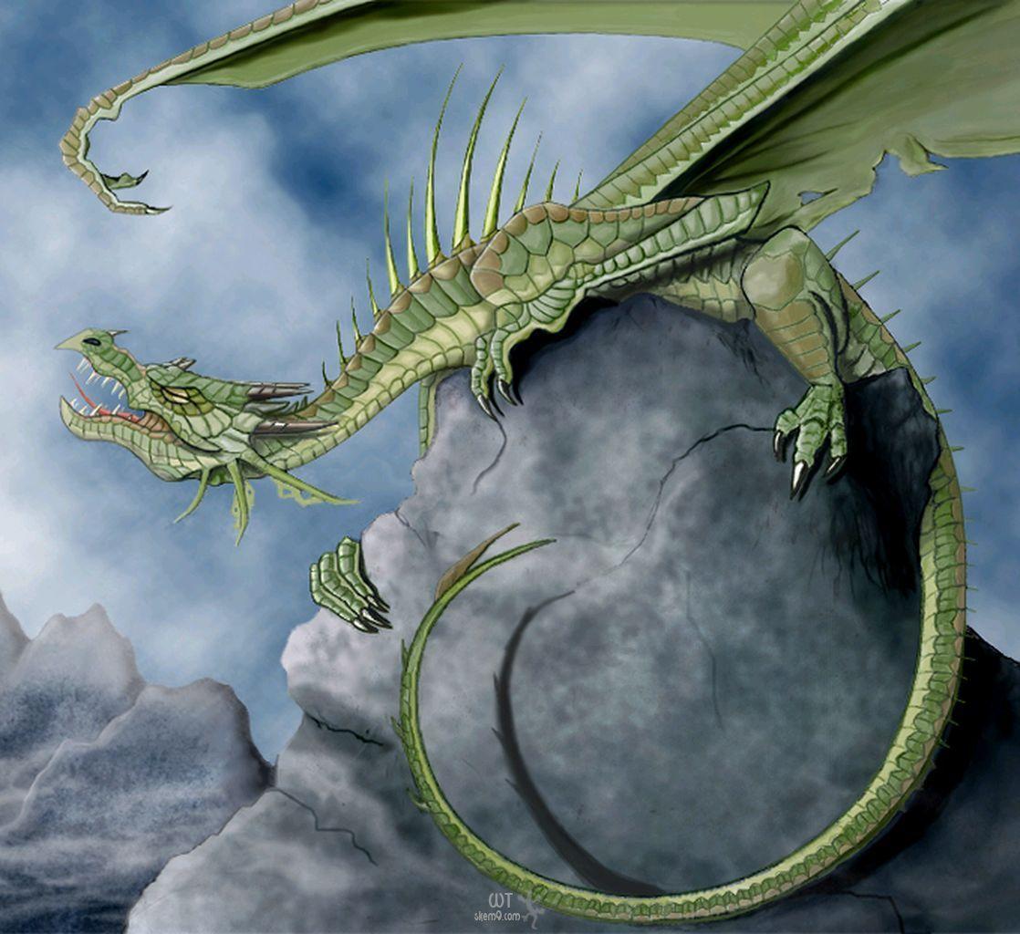 Green Dragon Animal Rock Wallpaper and Picture. Imageize: 152