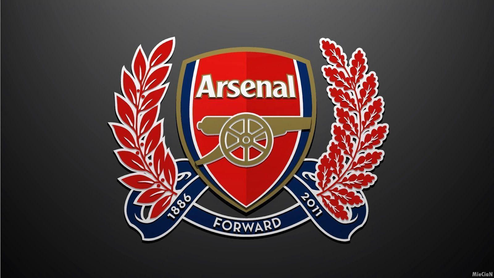 Arsenal FC New HD Wallpaper 2014