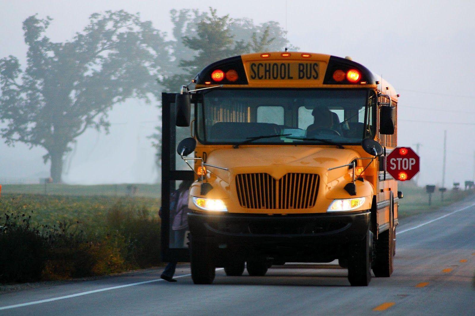 Wallpaper and picture: School bus in the morning HD wallpaper