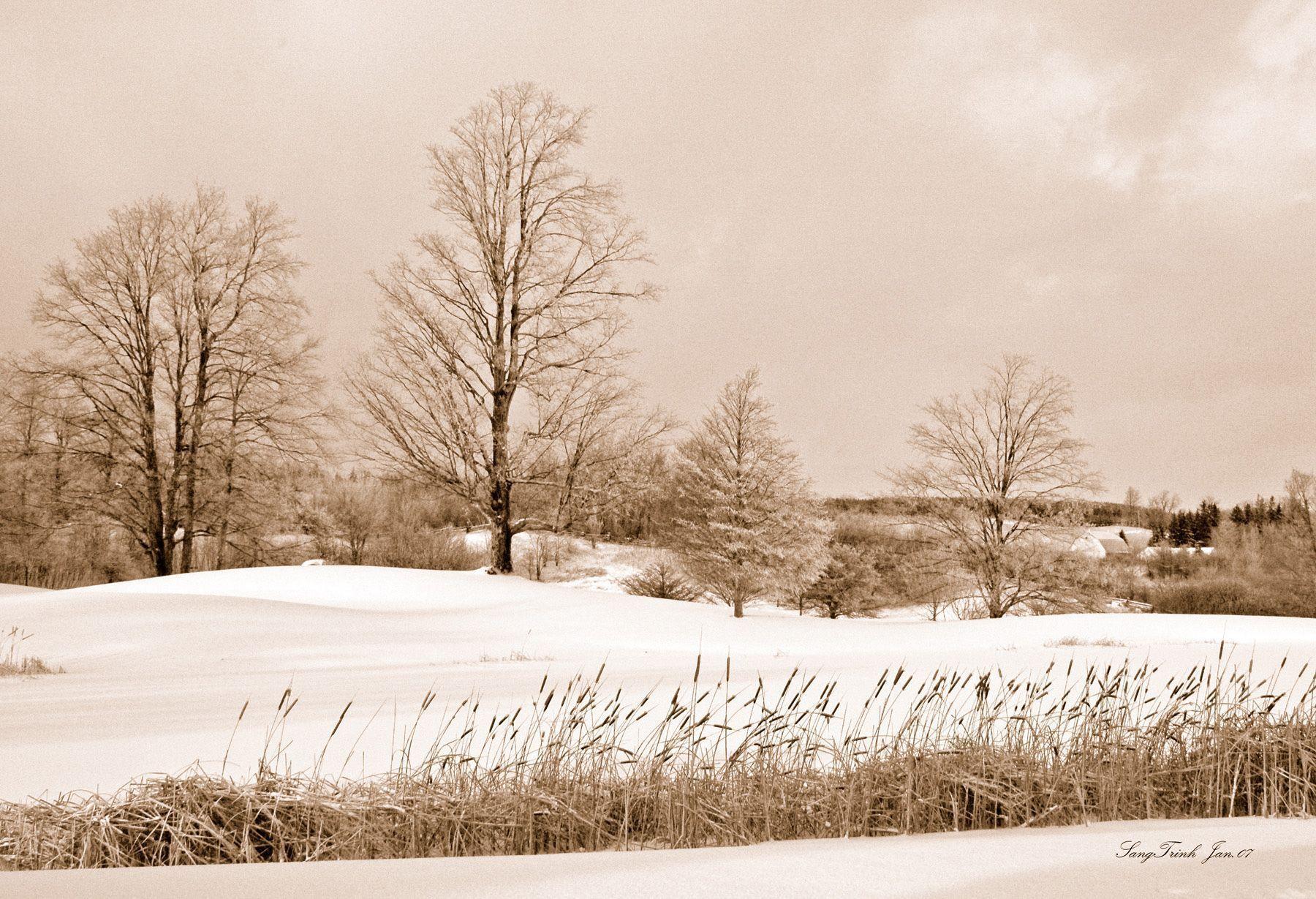 Winter scene Wallpaper. Image and nature wallpaper Winter scene