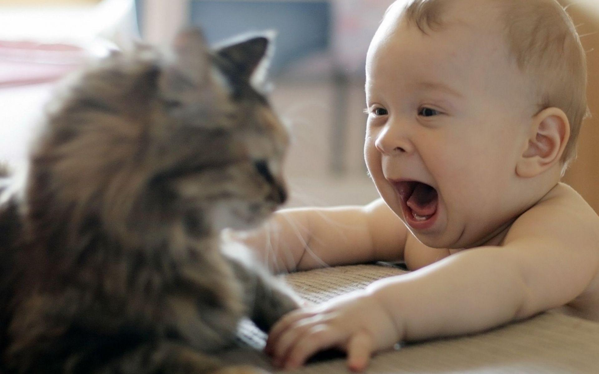Funny baby wallpaper HD. Zem Wallpaper Is The Best Place Where