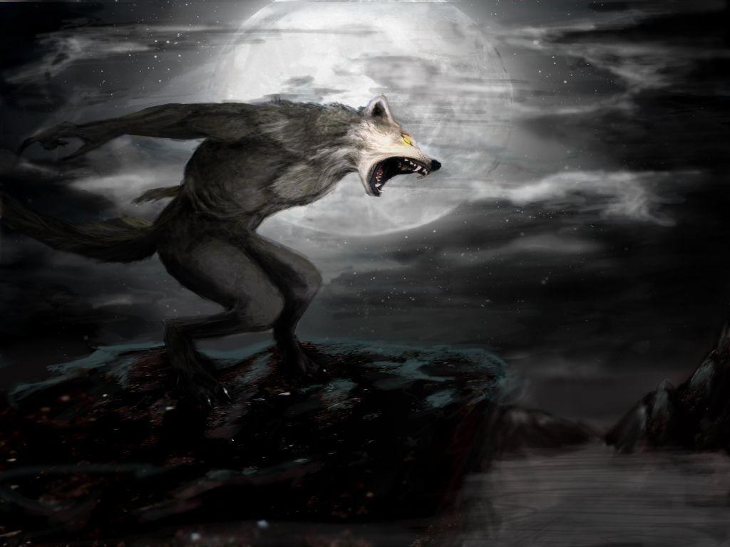 Angry Werewolf Wallpaper from Wallpaper 1024x768PX Wallpaper