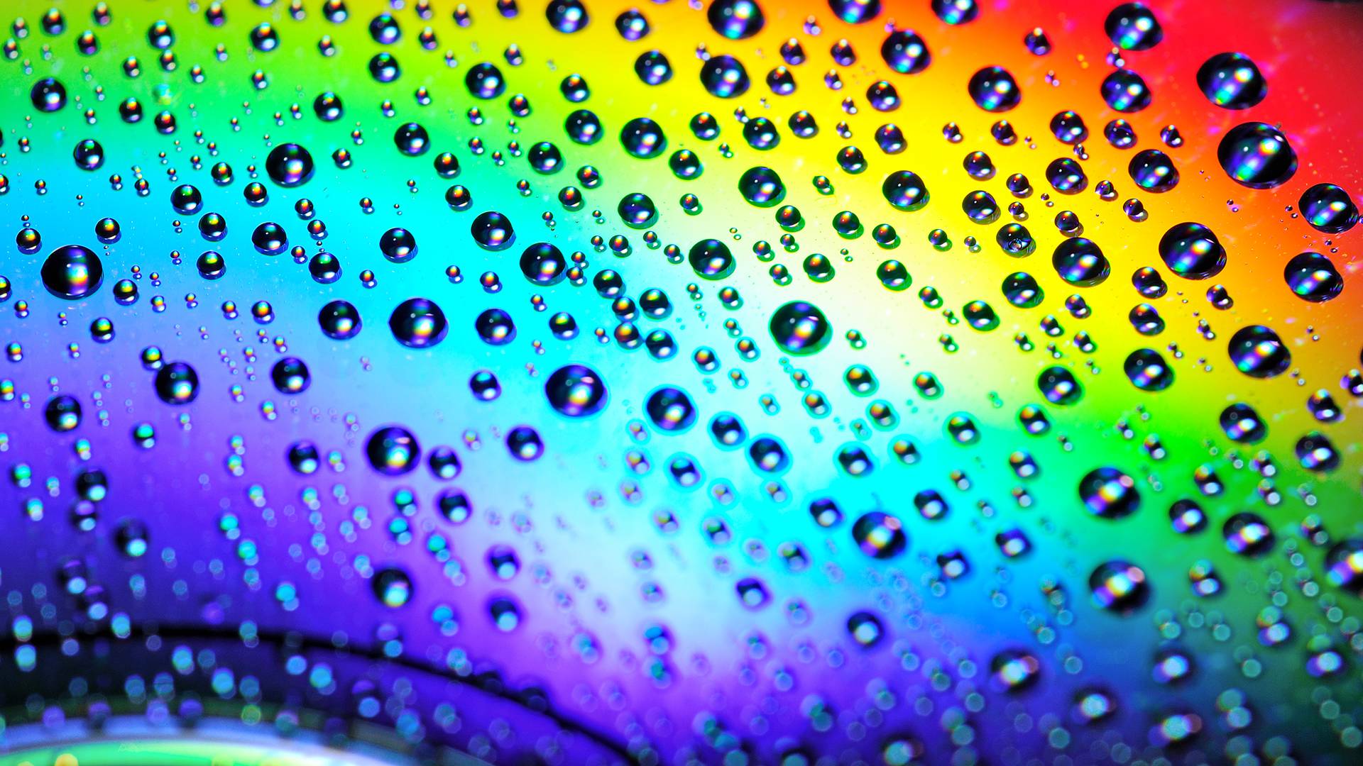 Download Abstract Rainbow Drops Bright Water Wallpaper 1920x1080