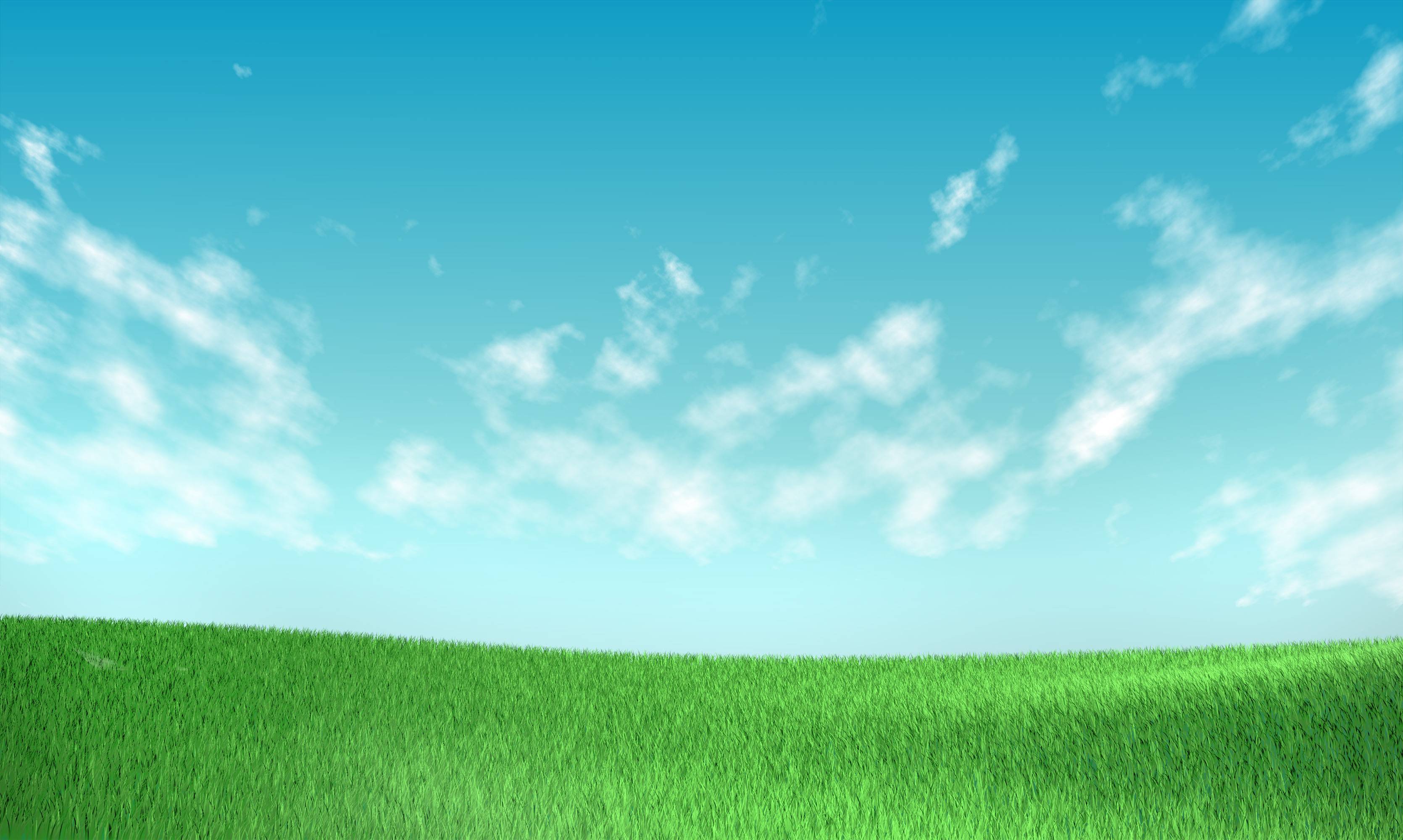 grass and sky background Wallpaper HD Image 10879