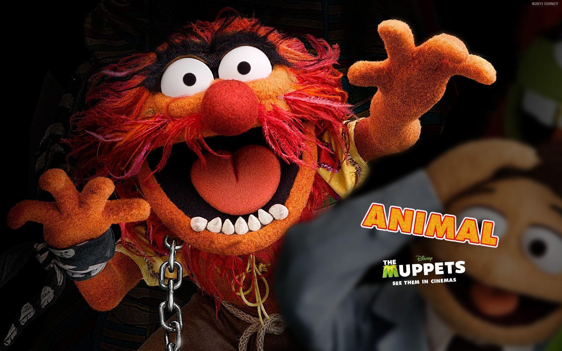 Animal. The Muppets Characters. Disney Muppets UK