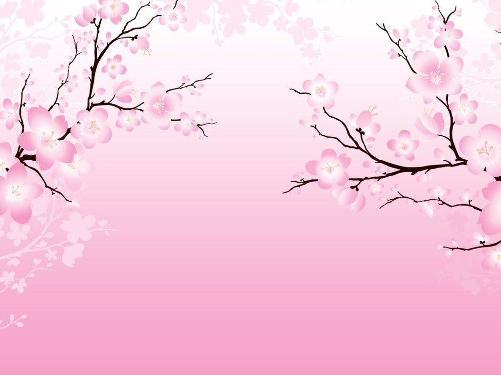 cherry-blossom-backgrounds-wallpaper-cave