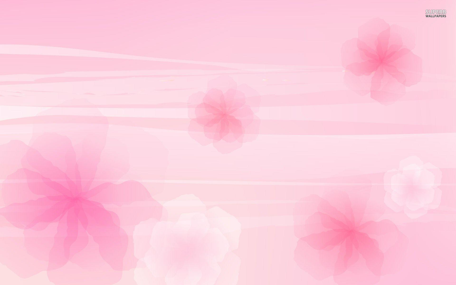 Pink flowers wallpaper wallpaper - #