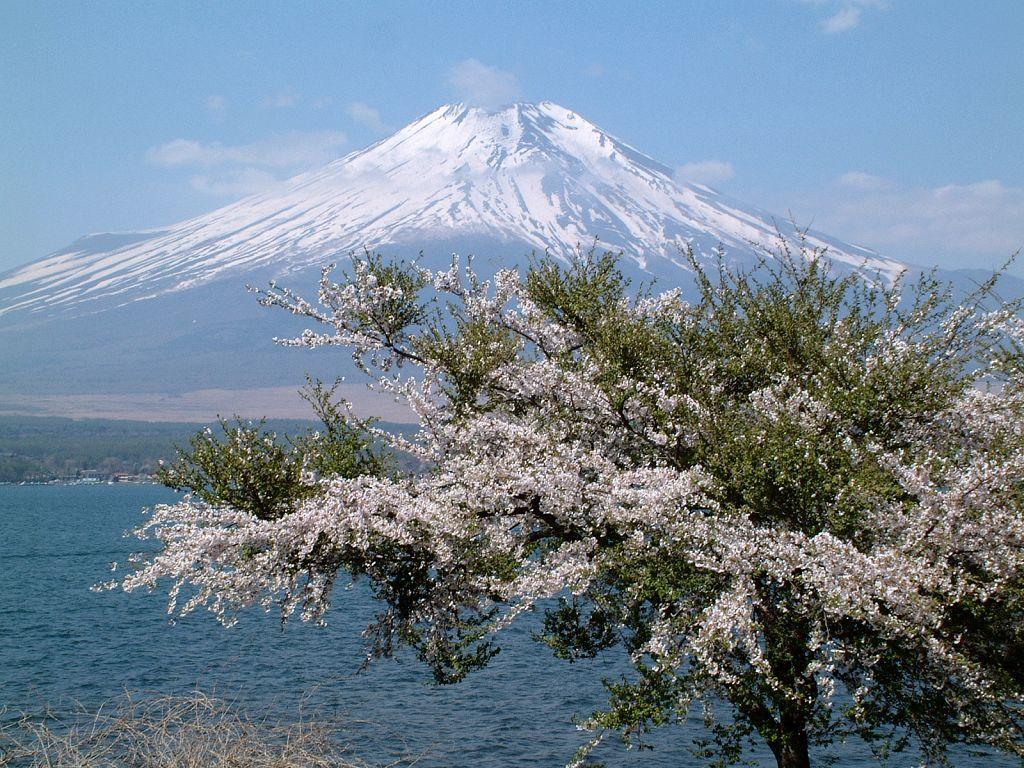 Mount Fuji Travel Wallpaper HD Wallpaper