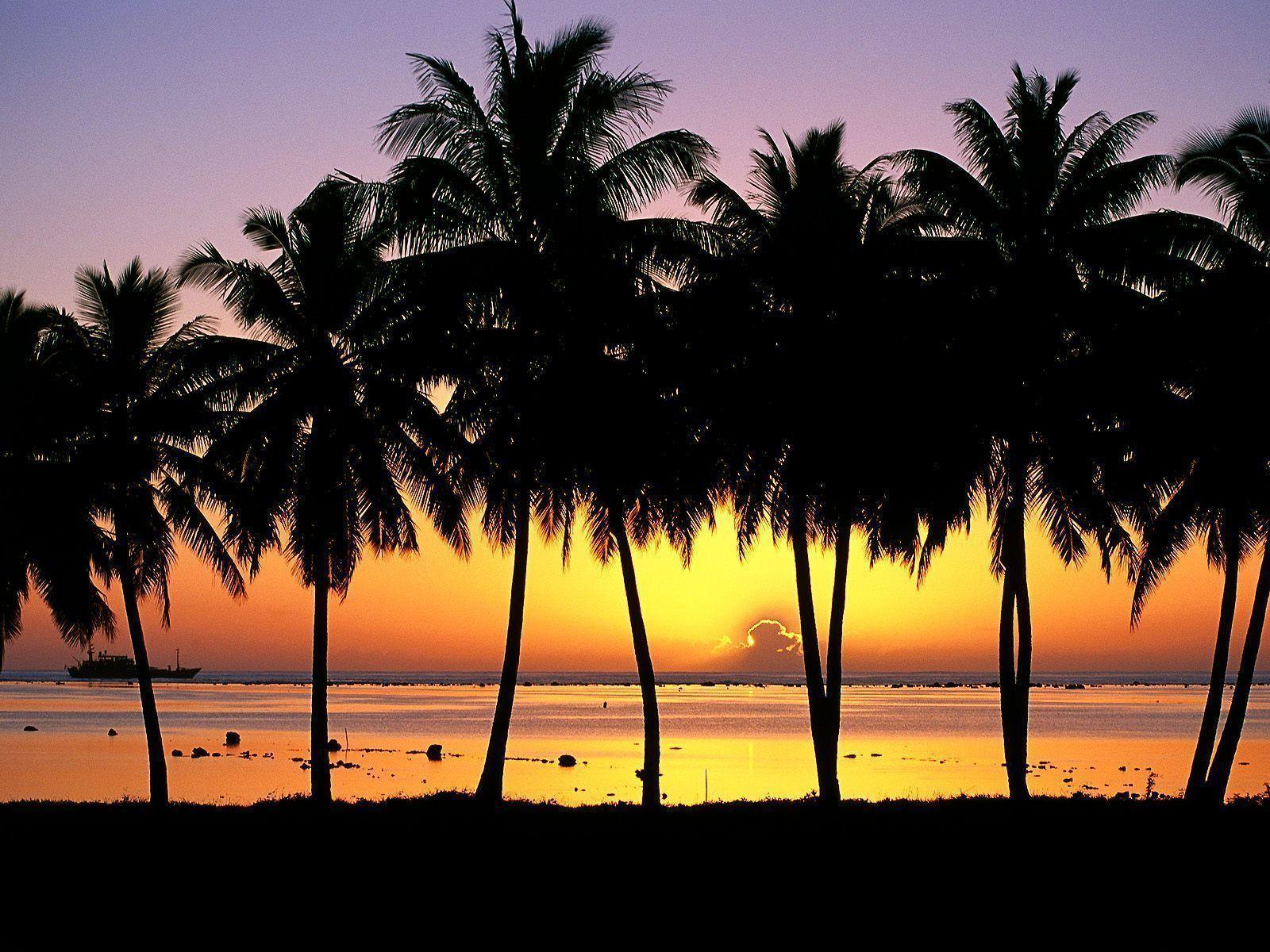 Wallpaper For > Island Sunset Background